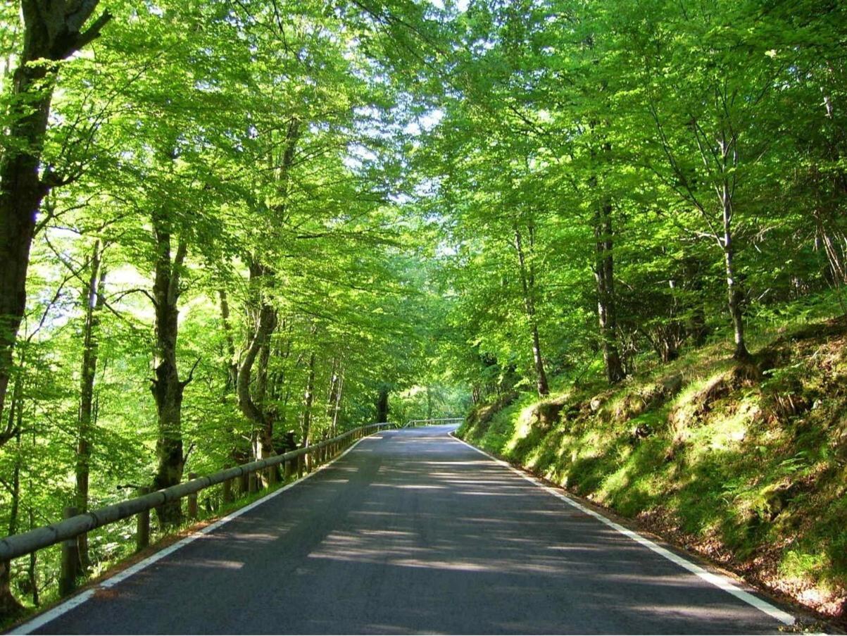 Casa Rural Caborzal Renedo De Cabuerniga المظهر الخارجي الصورة